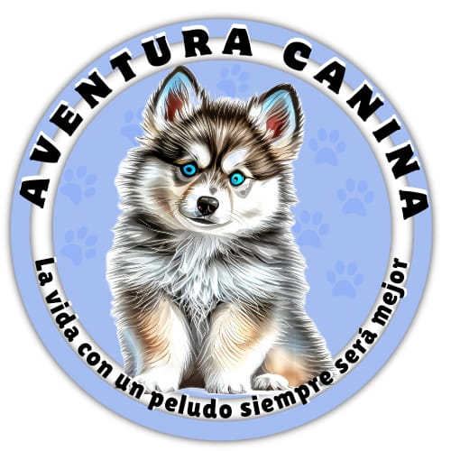 Aventura canina